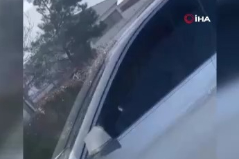 Bursa'da dilenci kadınların kavgası kamerada: Kucağındaki bebek yere düştü