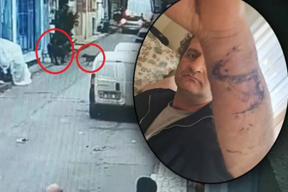 Bursa'daki "pitbull"lu saldırı davasında sanıkların cezaları belli oldu!