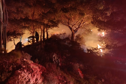 Muğla Bodrum’da ormanda çıkan yangın söndürüldü