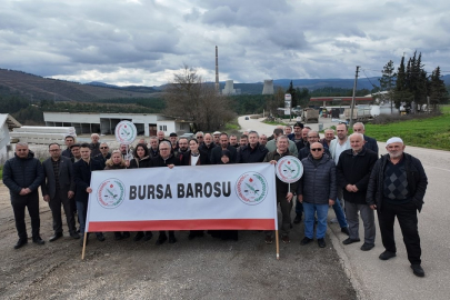 Bursa Orhaneli Termik Santrali için kritik tespit: Ombudsman 'dur' dedi