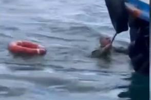 İstanbul Karaköy'de yolcu vapuru tekneye çarptı; balıkçı denize düştü