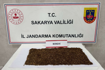 Sakarya'da jandarmadan uyuşturucu operasyonu: 1 tutuklama