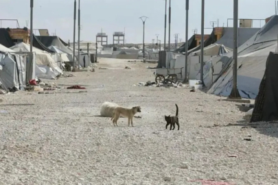 Suriye'de hükümet El Hol Kampı'ndan kaçışları doğruladı