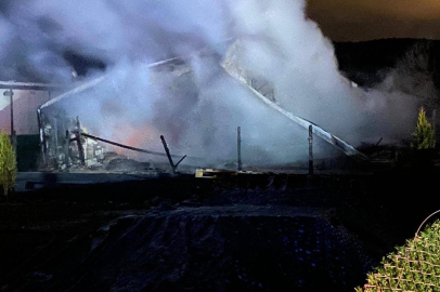 Bilecik'te iki bağ evinde çıkan yangın söndürüldü