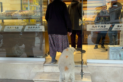 Bursa'da 'Çorap' adlı kuzu sahibiyle ile pide sırasına giriyor