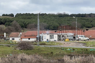 Çiftlik evinde dehşet: Elektrikli testereyle saldırdı!