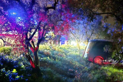 Bursa'da kazadan kaçan sürücü zeytinliğe daldı!