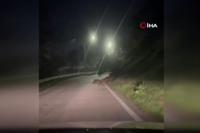 Bursa'da heyelanla düşen kayalar yola savruldu! Araç kazayı kıl payı atlattı