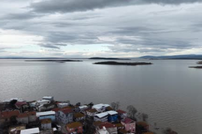 İstilacı İsrail sazanları Bursalı balıkçılara gelir kaynağı oldu