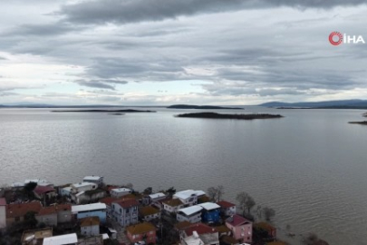 İstilacı İsrail sazanları Bursalı balıkçılara gelir kaynağı oldu