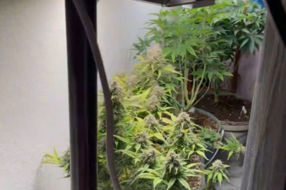 Burdur'da evi uyuşturucu imalathanesine çeviren şüpheli tutuklandı