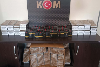 Aydın'da 24 bin dolu makaron ele geçirildi