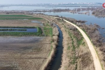 Bursa'da süt inekçiliğinden dört çocuğunu büyüterek üniversitede okuttu