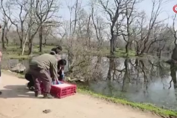 Bursa Karacabey Longozları'nda yaban hayatına özgürlük