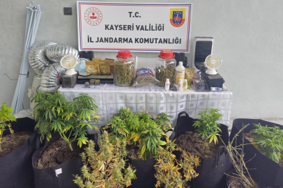 Kayseri’de evinde uyuşturucu yetiştiren şüpheli gözaltına alındı