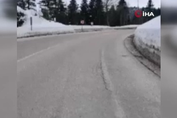 Bursa'da tilkiye çarpan sürücüden büyük vicdansızlık! Yaralı halde bırakıp kaçtı