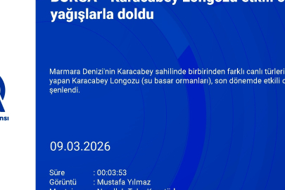 Bursa Karacabey Longozu etkili olan yağışlarla doldu