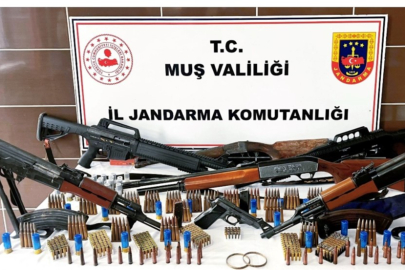 Muş'ta jandarmadan silah ve tarihi eser operasyonu