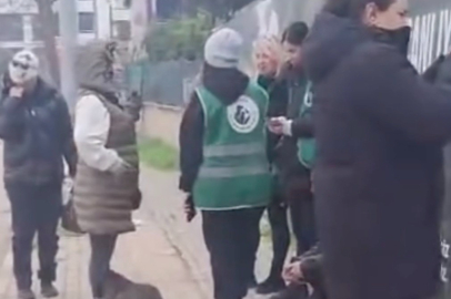 Bursa Gemlik'te barınağın önünde toplanan hayvanseverler içeriye alınmadı