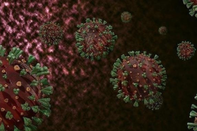 M çiçeği salgını yayılıyor: 8 kişi hayatını kaybetti!