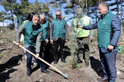 Bursa'da yaklaşık 10 bin fidan toprakla buluşturuldu