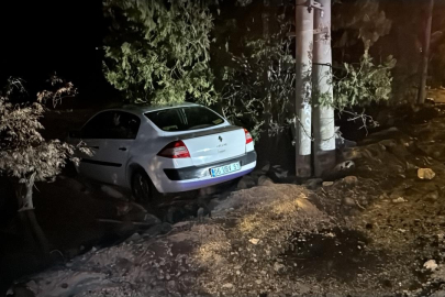 Elazığ'da yoldan çıkan otomobildeki 4 kişi yaralandı