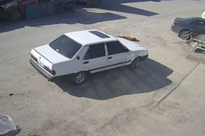 Bolu'da yolda yatan köpeği ezdi, arkasına bakmadan uzaklaştı