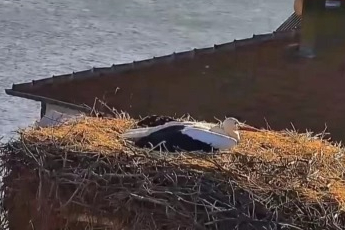 Bursa'da beklenen buluşma gerçekleşti