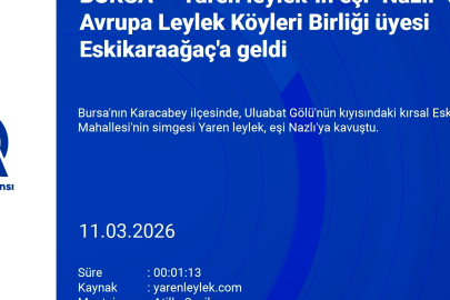 Bursa'da Yaren leylek eşi Nazlı'ya kavuştu