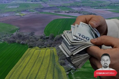 Bursa Karacabey’de 16 milyonluk arazi satışı! Üç tarla ihaleye çıktı...