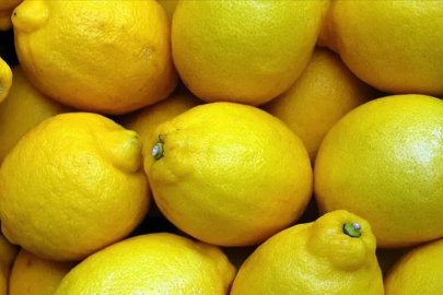 Limon ithalatında gümrük vergisi indirildi