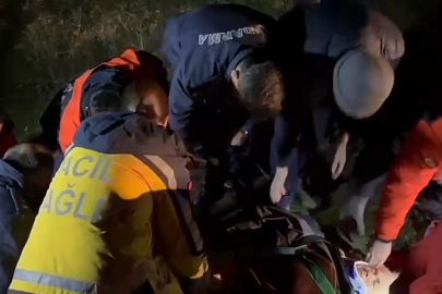 Ormanda kaybolan yaşlı kadın baygın halde bulundu