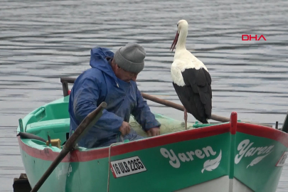 Adem Amca, 15 yıllık dostu Yaren leylekle Bursa'da özlem gideriyor