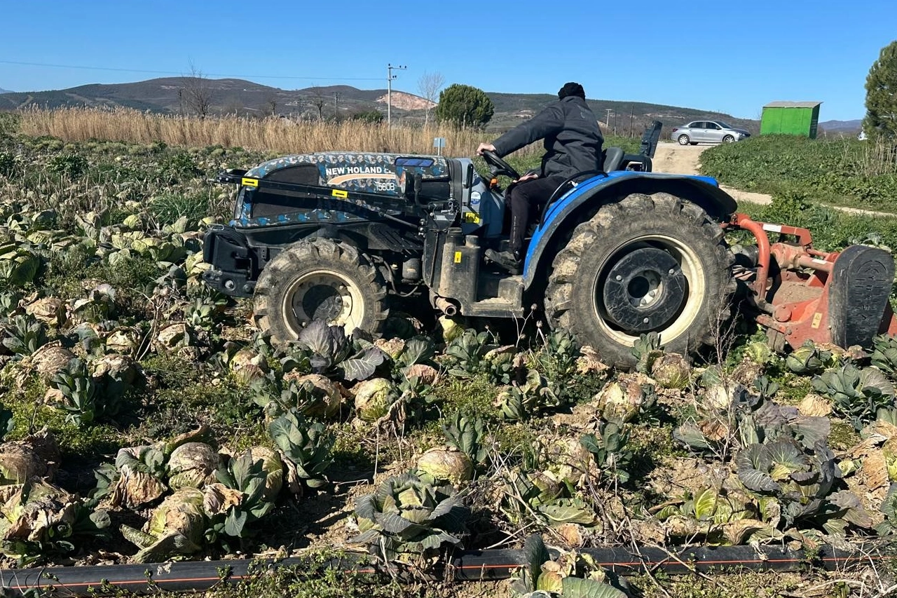 Bursa'da pazarda 70 lira ama yüzbinlercesi tarlada çürüdü