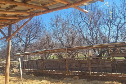 Hayvanların görüntüsü sosyal medyada tepki çekmişti! Denetleme yapıldı...