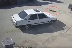 Köpeğin üzerinden otomobili ile geçip sürükleyen sürücü gözaltında!
