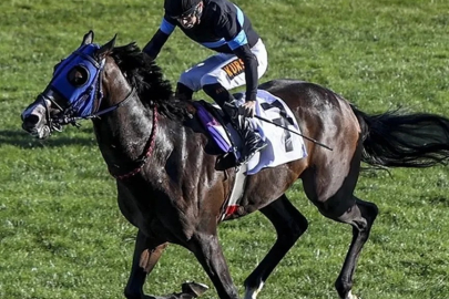 Mide bulandıran iddia: Yarış eti kavurma mı yapıldı? Açıklama geldi...