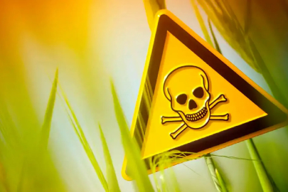 AB ülkelerindeki tahıllarda "sonsuz kimyasallar" bulundu