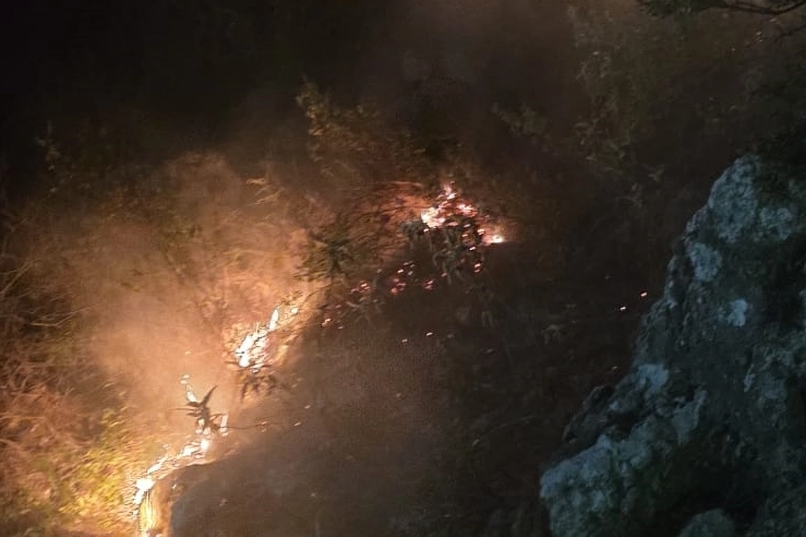 Antalya Alanya'da ormanlık alanda çıkan yangın söndürüldü