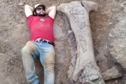 Brezilya'da dev dinazor türü keşfedildi