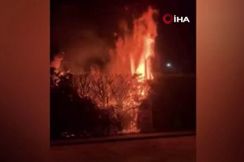 Bursa'da sebepsiz yere ateşe verilen ağaç itfaiyeyi harekete geçirdi!