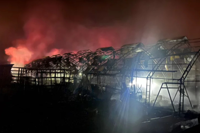 Bursa'da çiftlik yangını: Çok sayıda kanatlı hayvan telef oldu