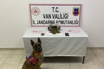 Van'da mezarlık yakınında 1 kilo skunk ele geçirildi