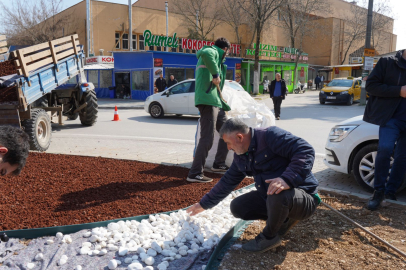 Bursa Orhangazi'de kurakçıl peyzaj dönemi