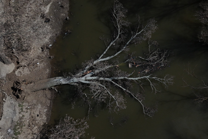 Edirne Tunca Nehri kıyısında toprak kayması: 50 metrelik alanda çatlaklar oluştu