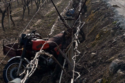 Manisa’da sepetli motosiklet üzüm bağına uçtu: 1 ölü