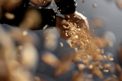 Tahıl tohumluklarının sertifikasyonu elektronik ortamda gerçekleştirilecek