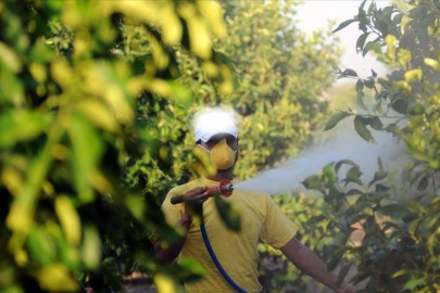 Tarım ilacı uyarısı: Parkinson riskini ciddi şekilde artırabilir