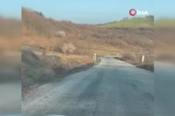 Bursa'da yola inen geyik sürüsünü görenler şaştı kaldı