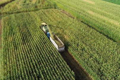Tarımsal girdi fiyat endeksi ocakta arttı